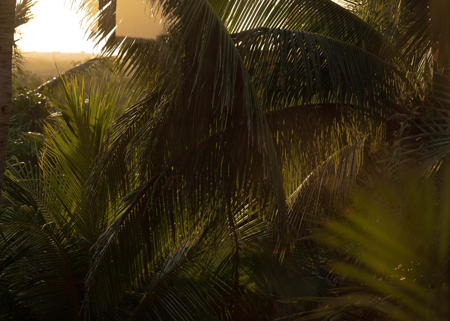 Romeo Tulum Boutique Hotel and  villa